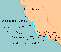 セントラルカリフォルニア　カリフォルニア